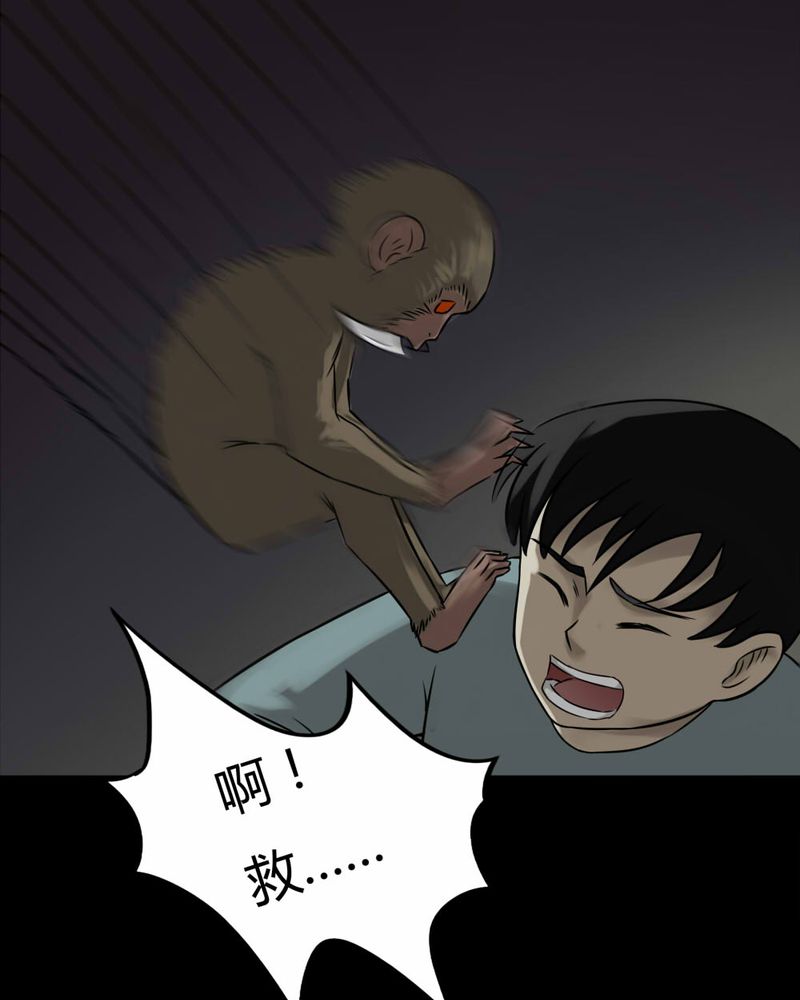 诡中有诡漫画,第85章：猴知猴觉（下）2图