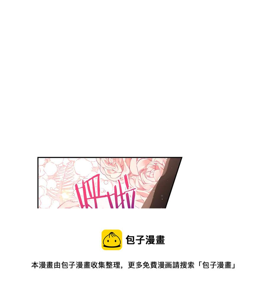 第40话 寻找精灵3