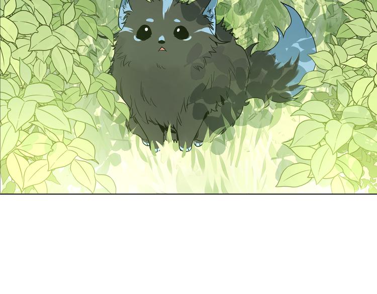 第17话 魔法师少年1