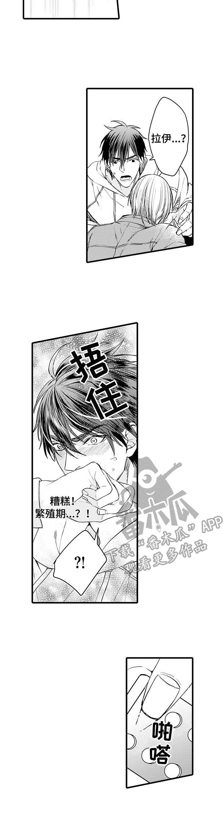 第11章：突发状况4