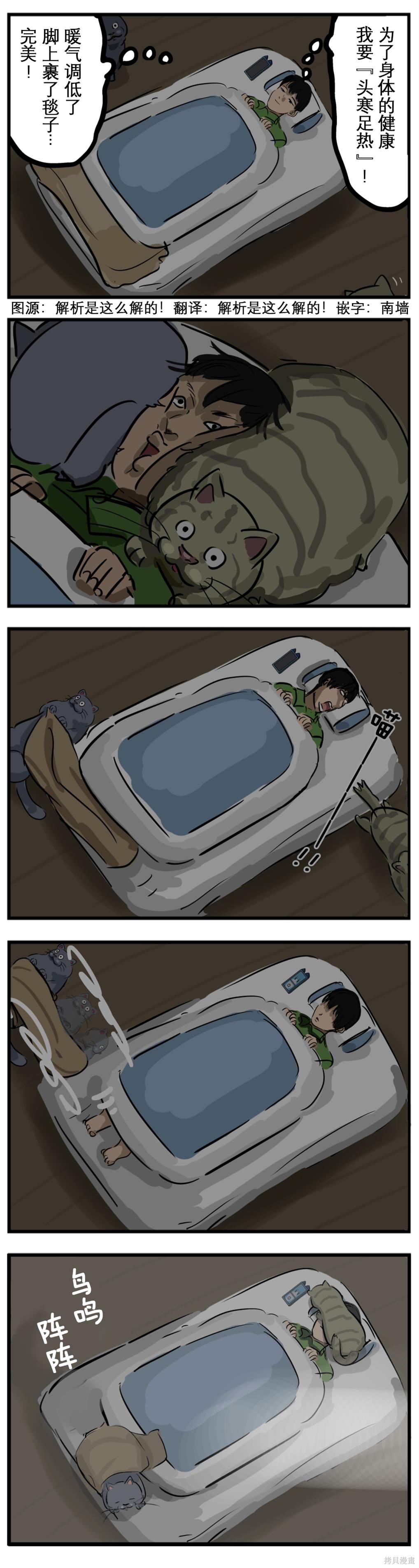 老师四人节目漫画,主寒猫热1图