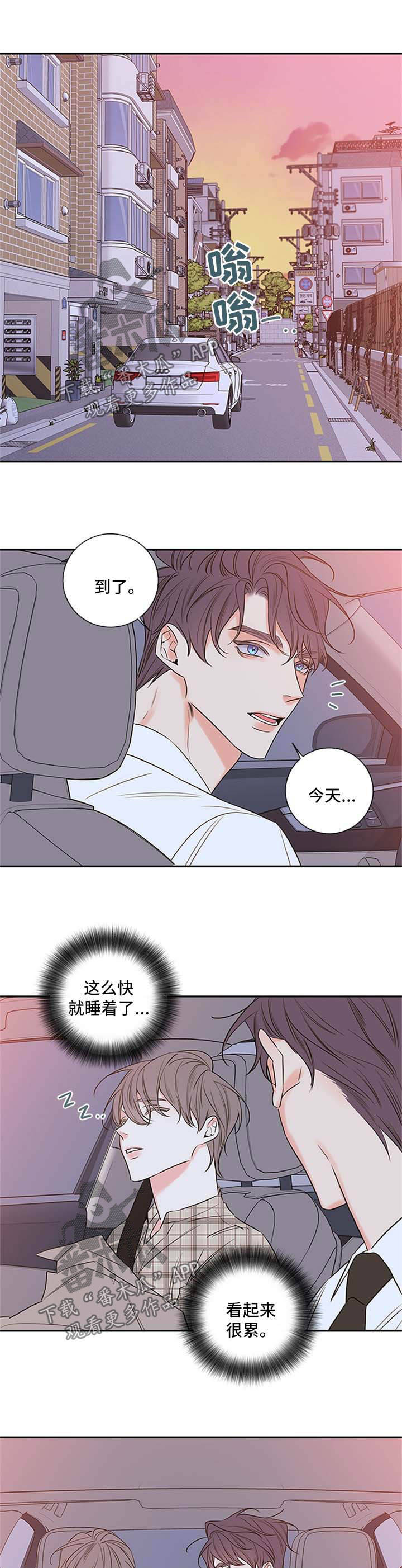 半血族漫画,第94章：【番外篇】注定要纠缠在一起（完）1图