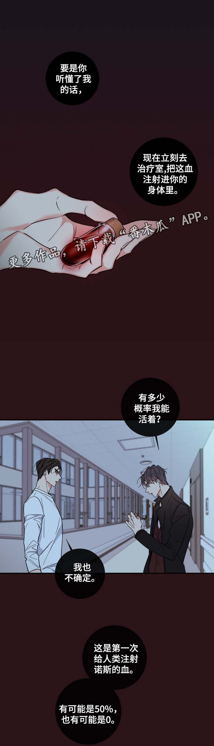 半神血族漫画,第55章：赌一把3图
