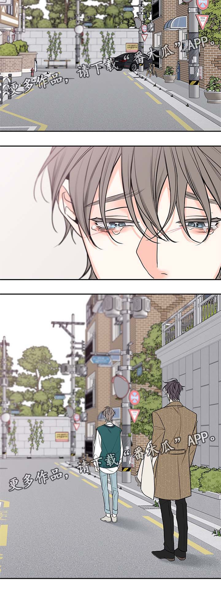 半血马缺点漫画,第73章：尘埃落定3图