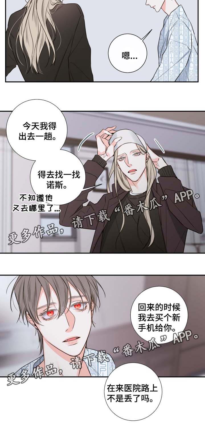 半血三级甲和满血二级甲怎么选择漫画,第39章：寻找3图