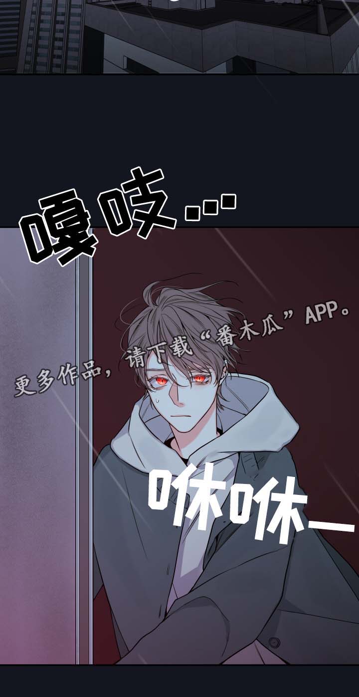半血族漫画,第48章：一模一样的人2图