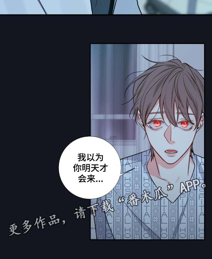 半血缘漫画,第45章：医生2图