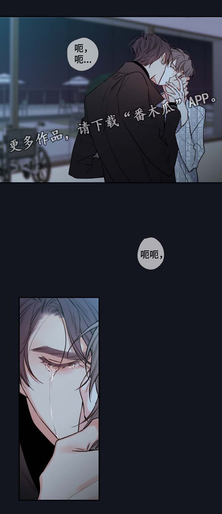 艾尔为什么是半血血族漫画,第43章：解释2图