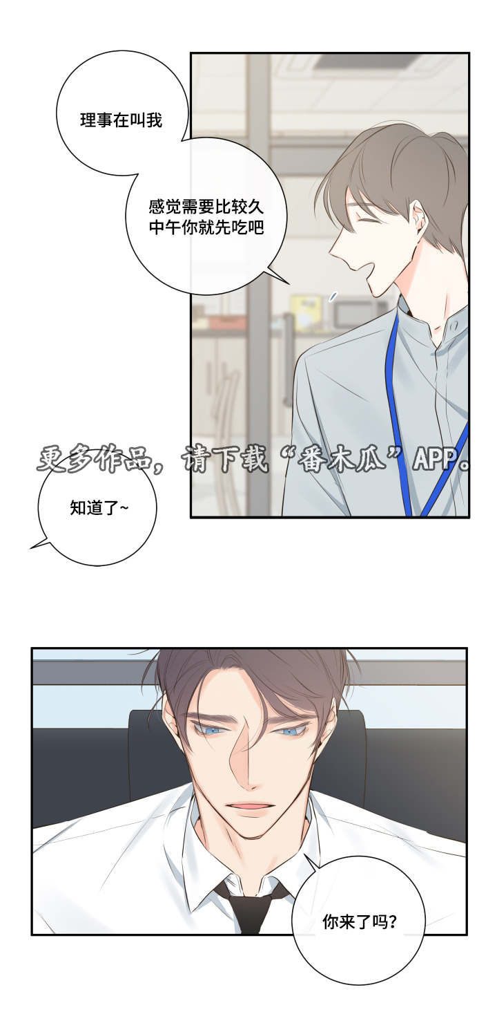 半血马在西藏适合养吗漫画,第12章：办公室5图