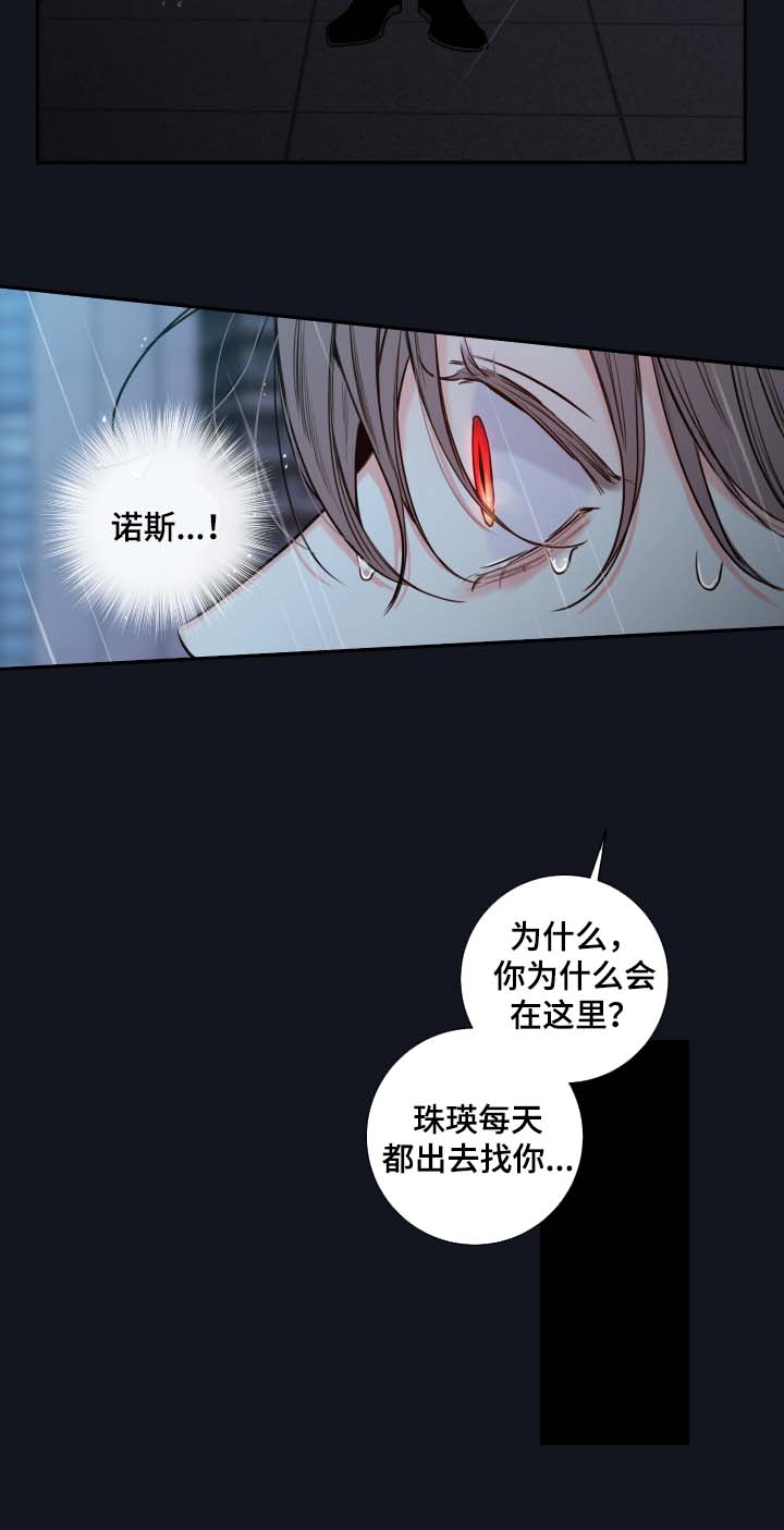 半血马多高漫画,第49章： 成为诺斯4图