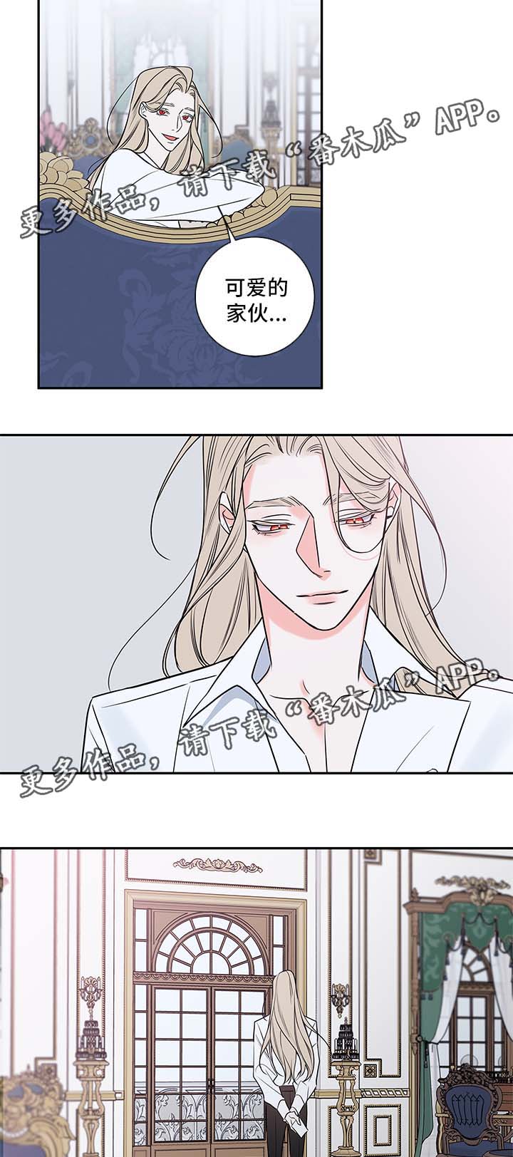 半血王子漫画,第79章：回归（完结）2图