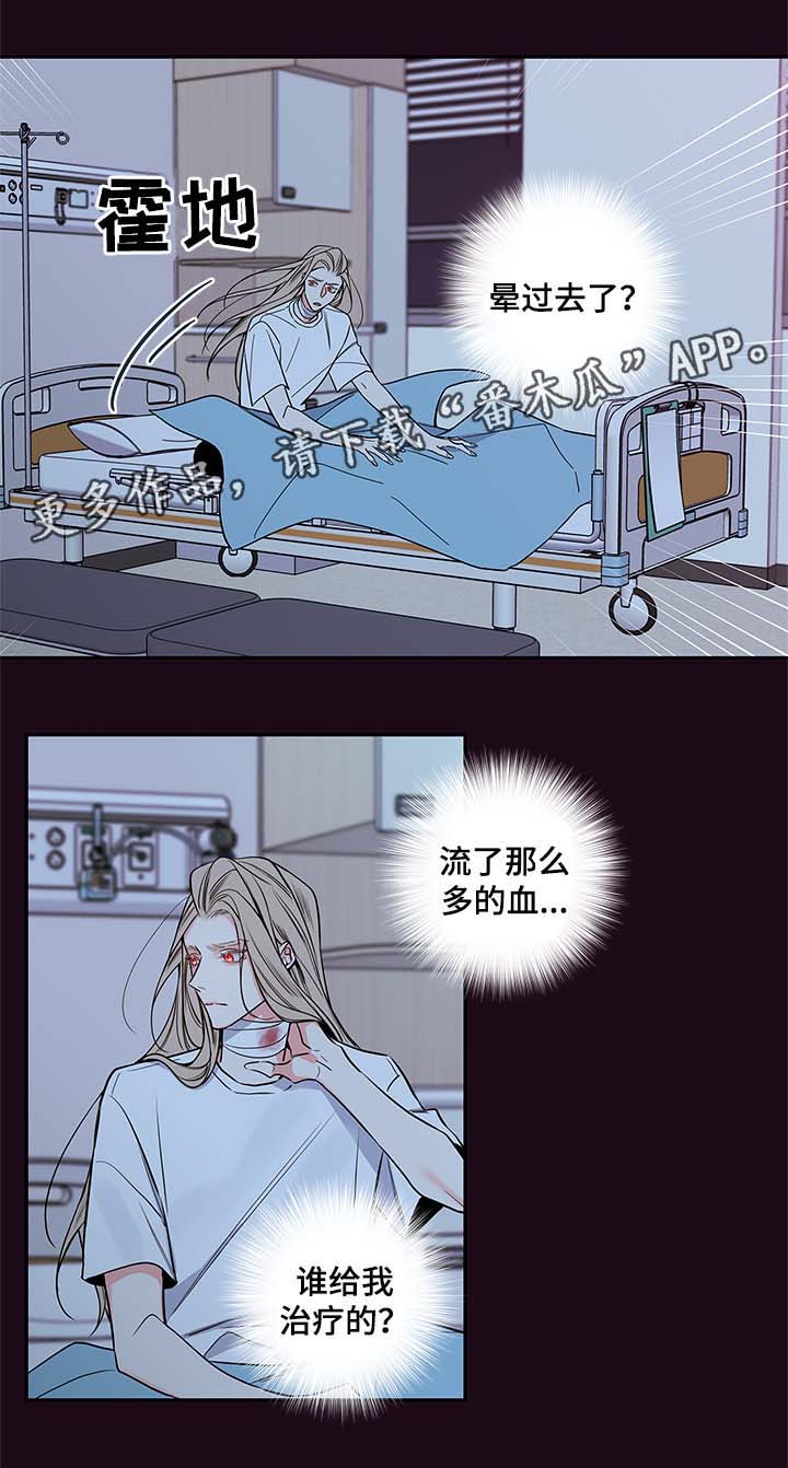 半血猎人电视剧漫画,第58章：血的副作用2图