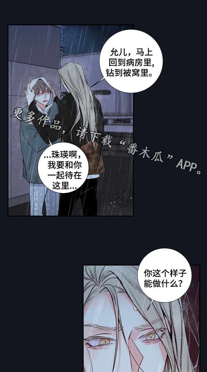 半血族漫画,第50章：我来成为诺斯1图