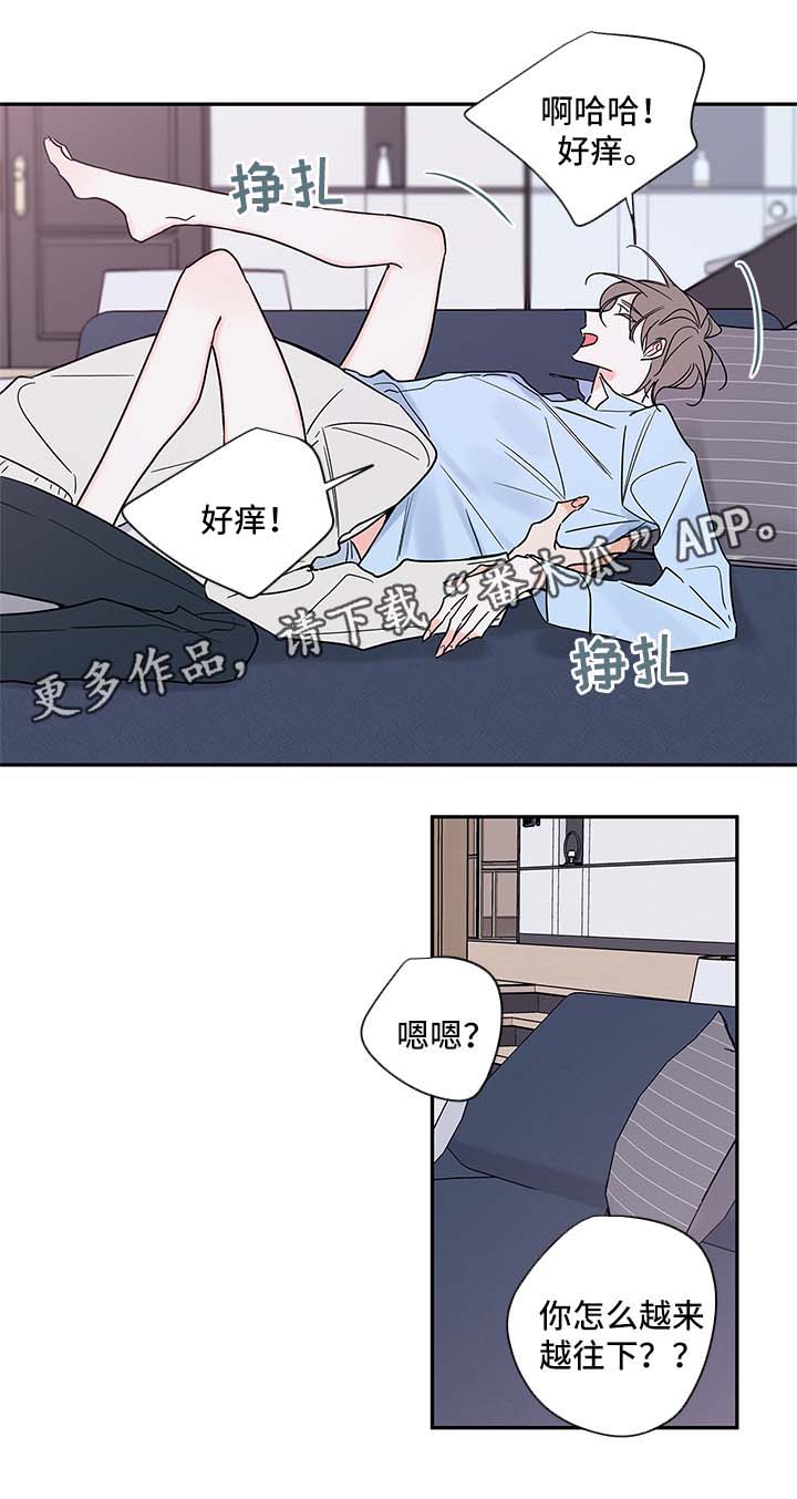 半血族漫画,第77章：回来上班4图