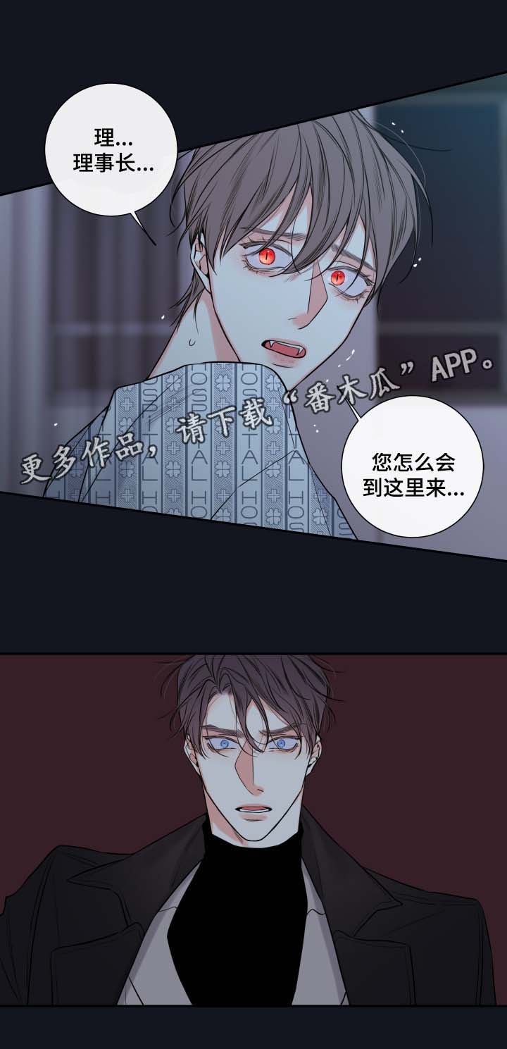 半血缘关系漫画,第41章：必须找到你1图