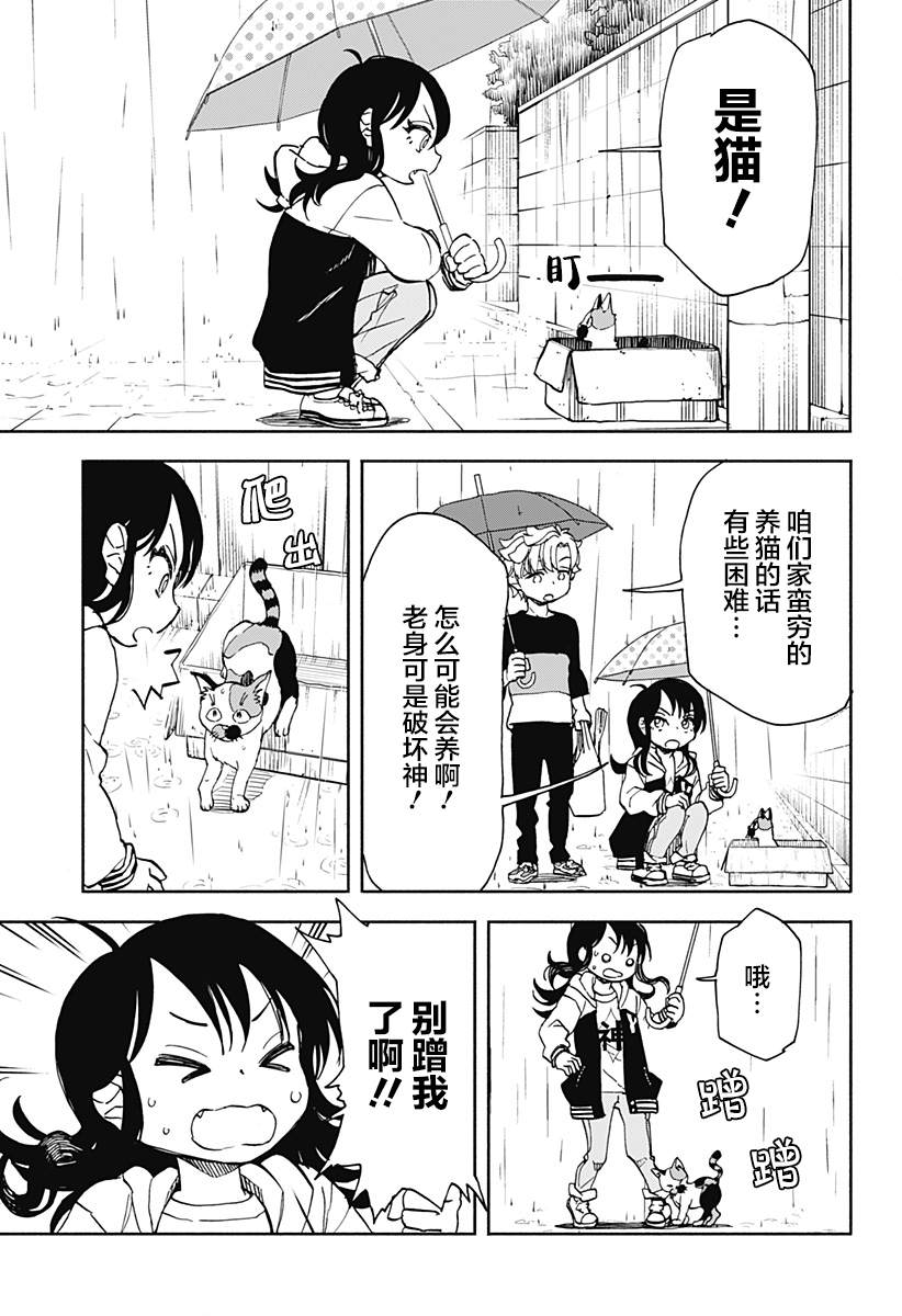 全都是泡菜漫画,第5话 破坏神、来养猫吧3图