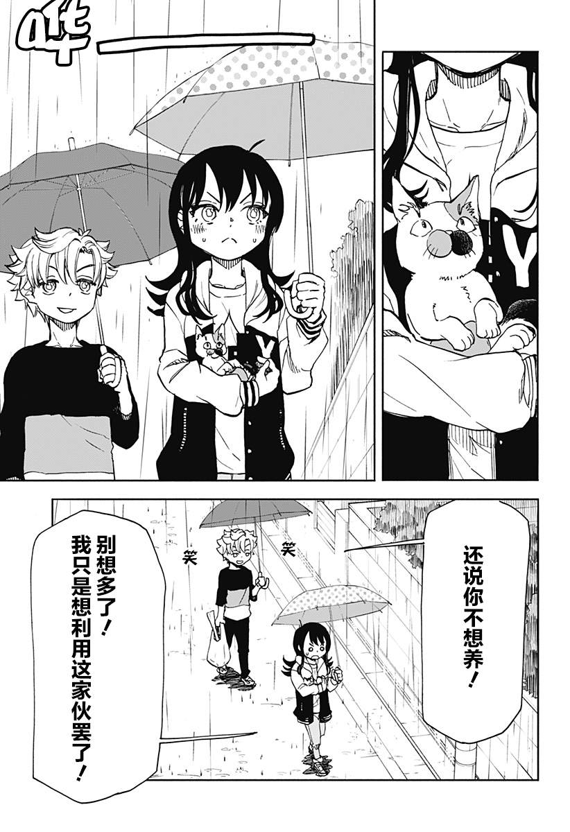 全都是泡菜漫画,第5话 破坏神、来养猫吧5图