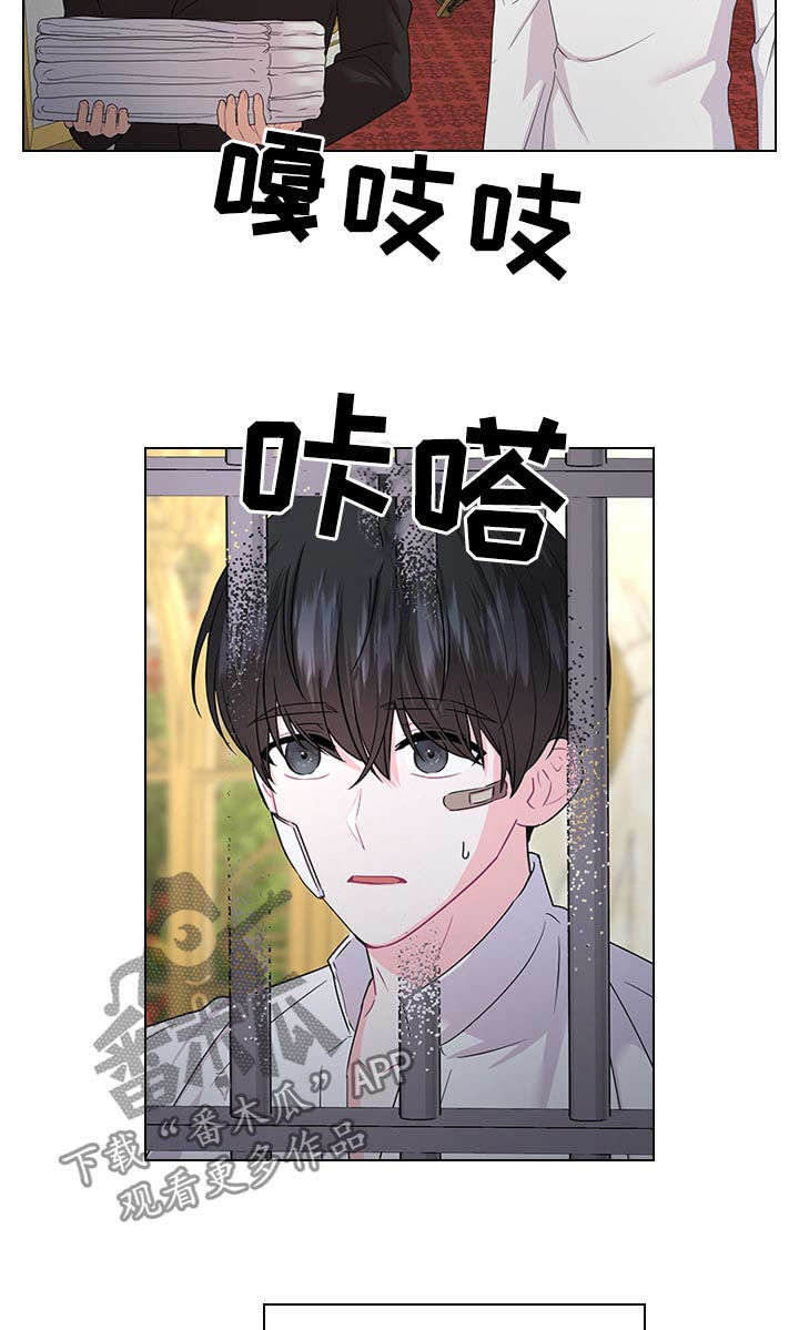 皇室血脉动漫全集免费观看漫画,第71章：不是孩子的父亲3图