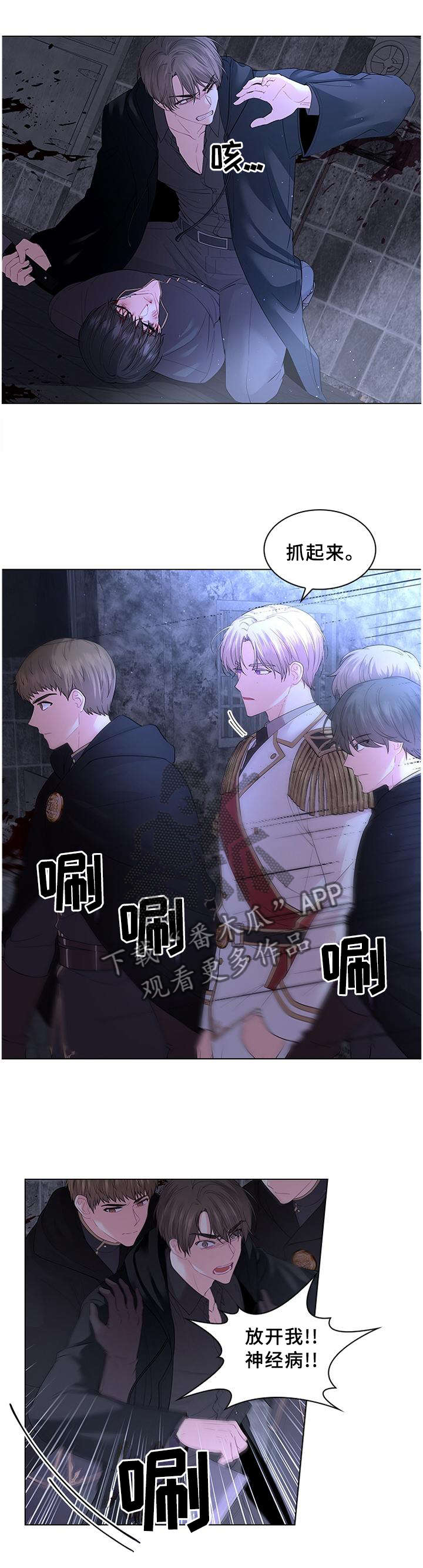 皇室血脉正统漫画,第69章：救援1图