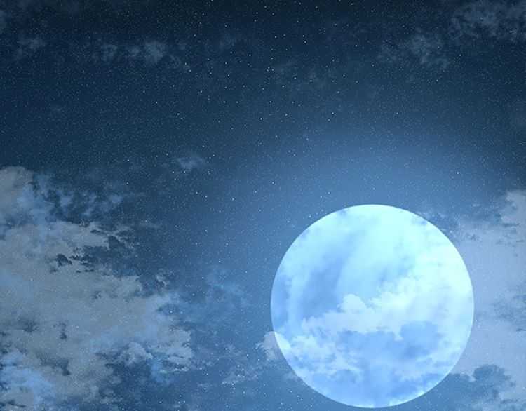 第76话 神兽意志1