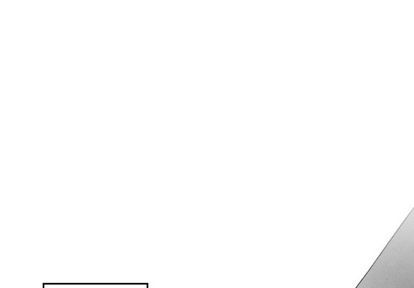 墓志铭的写法和格式漫画,第55话1图