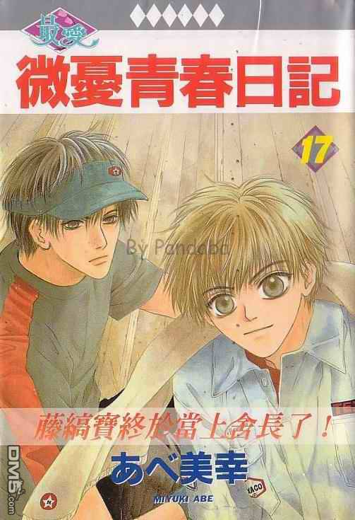微忧青春日记类似的小说漫画,第17卷1图