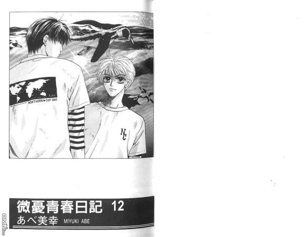 微忧青春日记类似的小说漫画,第12卷3图