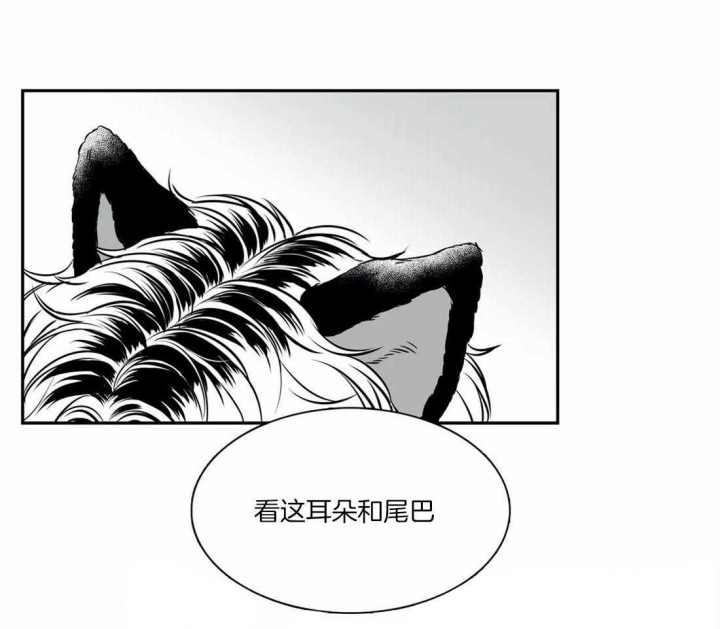 放映机到哪里买漫画,第155话1图