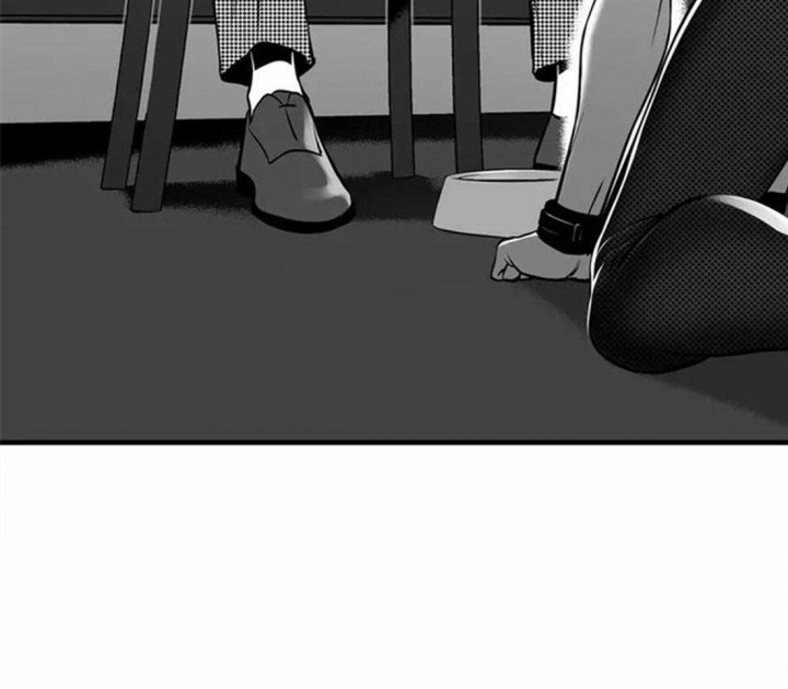 放映机到哪里买漫画,第155话4图