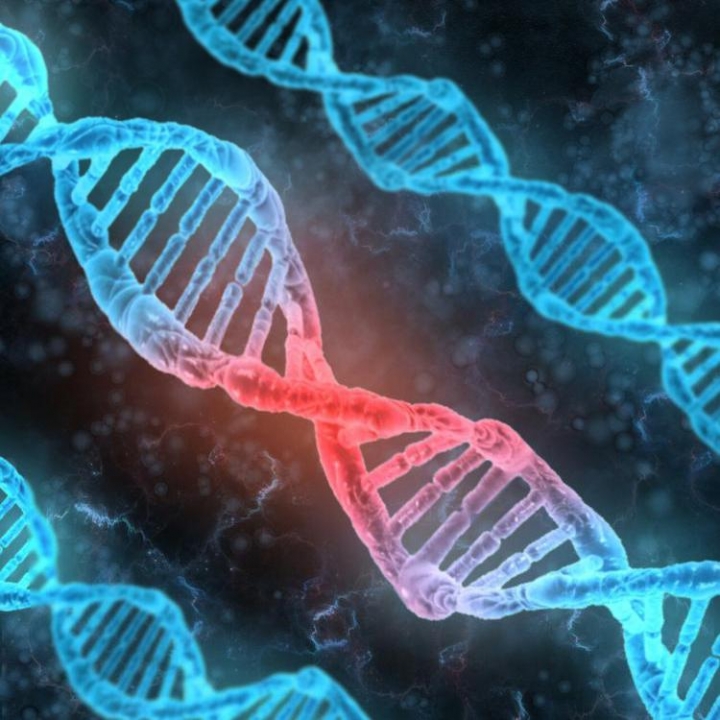 物种起源提出什么理论漫画,第1话2图