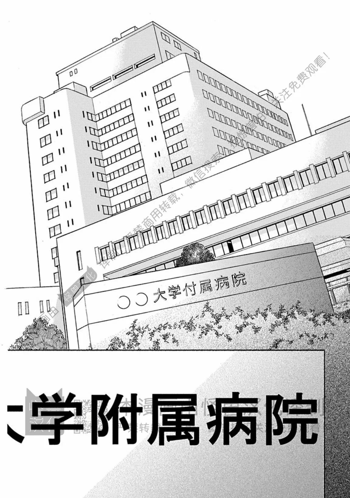 兔和虎相合不合漫画,番外25图