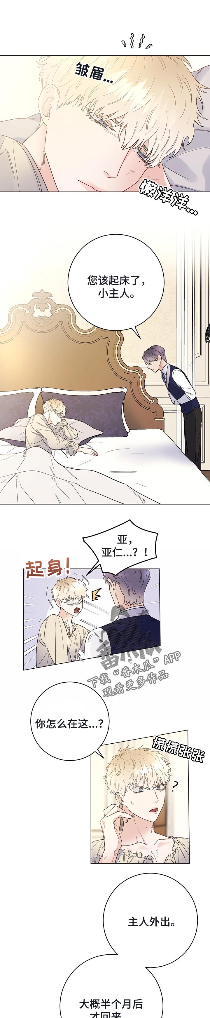 主人的宠物变成人了漫画,第42章：无事发生5图