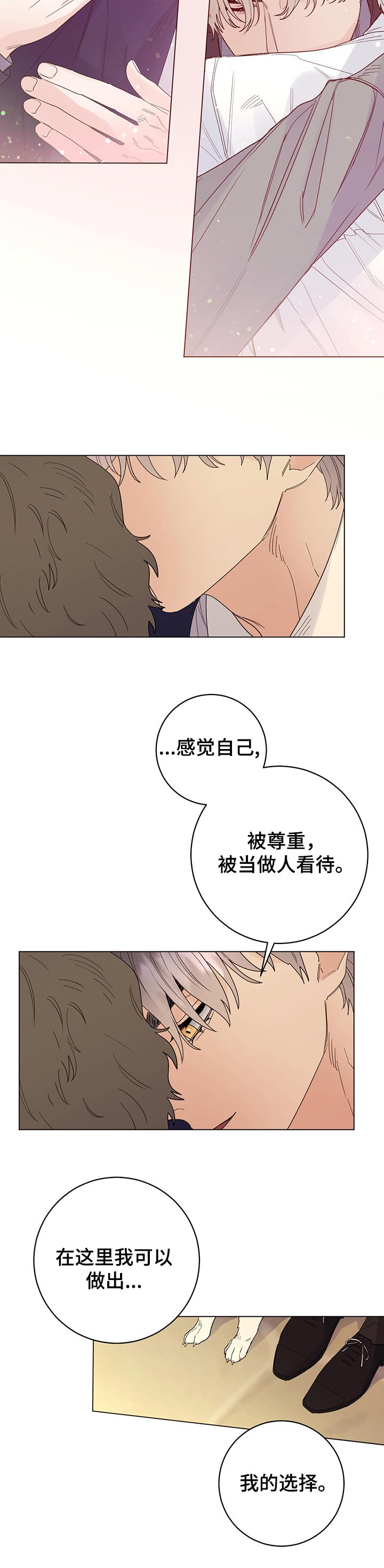 主人的宠物非麻瓜漫画,第61章：我的决定（第一季完结）5图