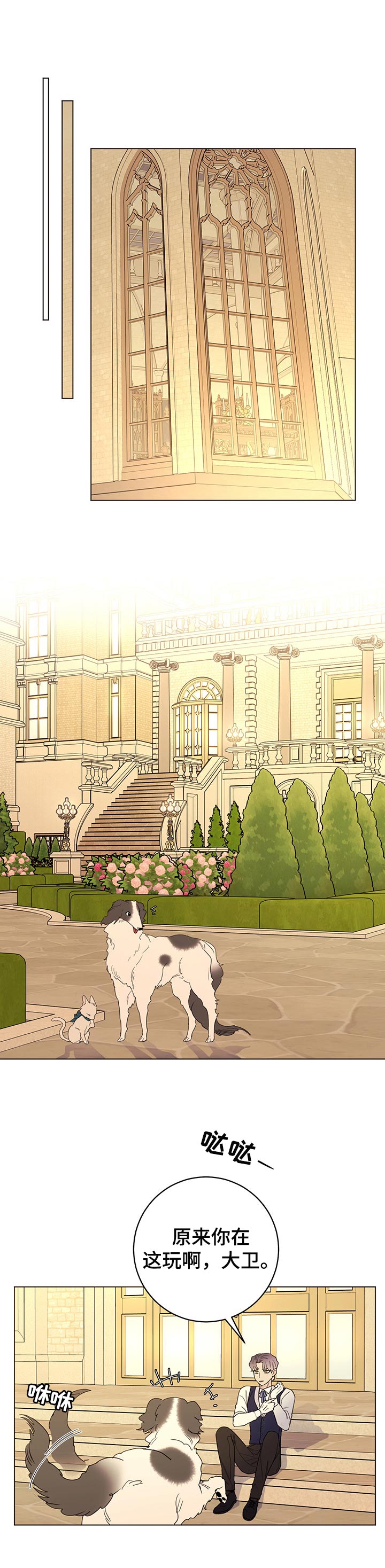 主人的宠物非麻瓜漫画,第61章：我的决定（第一季完结）1图