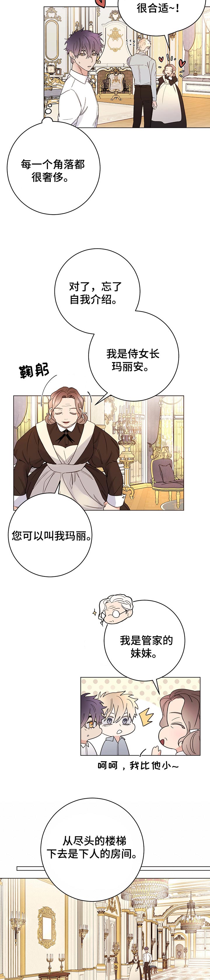 主人的宠物小说漫画,第58章：值得吗3图