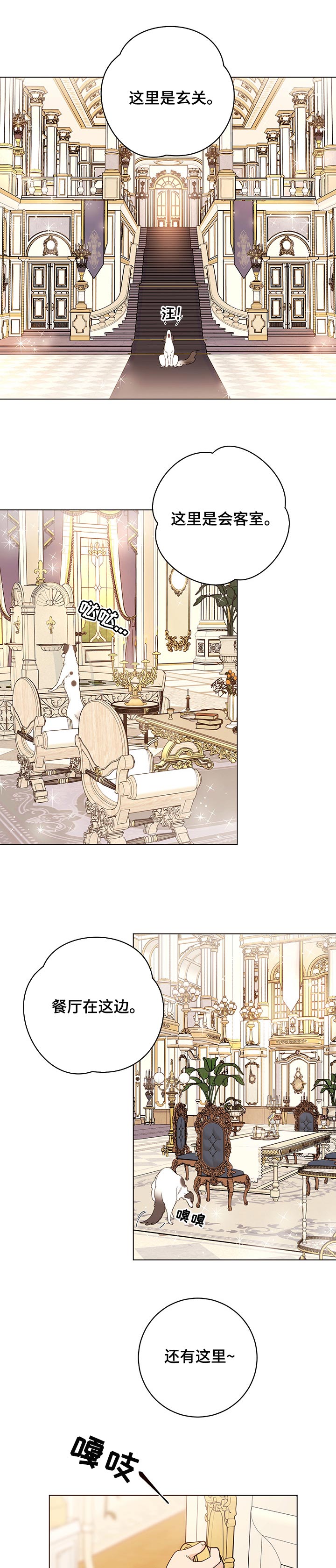 主人的宠物小说漫画,第58章：值得吗1图