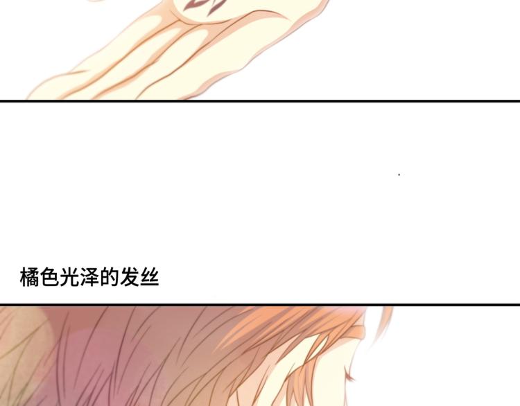 做我的vip我宠你图片漫画,第6话 最重要的男人2图