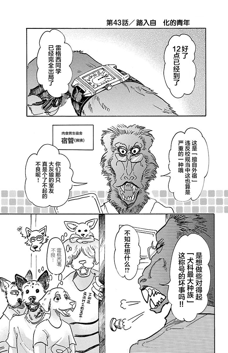beastars杀羊驼的是谁漫画,第43话1图