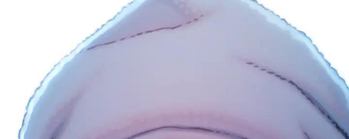 超级大富翁漫画,第43话1图