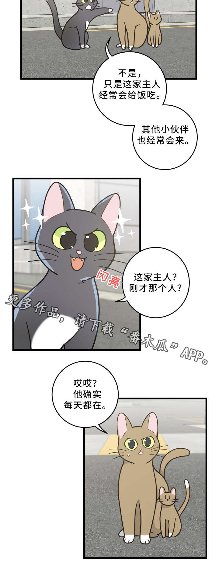 亲爱的维多利亚港小说免费阅读漫画,第32章：晕倒3图