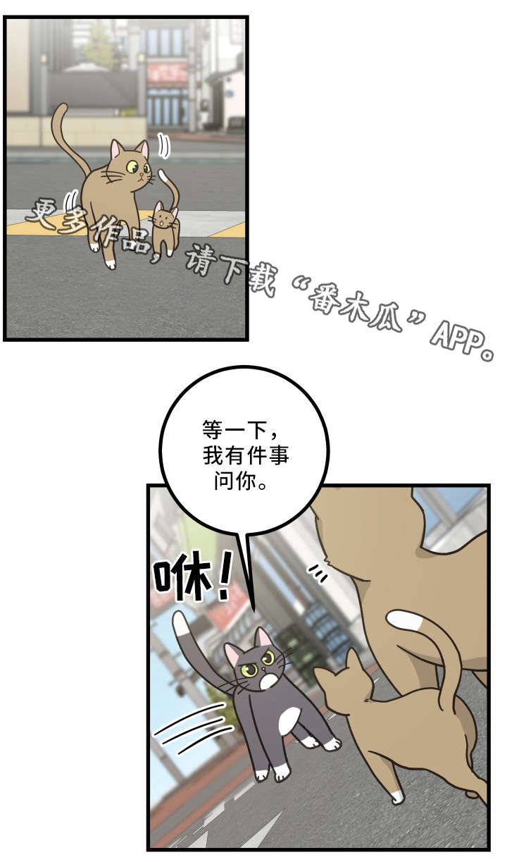 亲爱的维多利亚港小说免费阅读漫画,第32章：晕倒1图