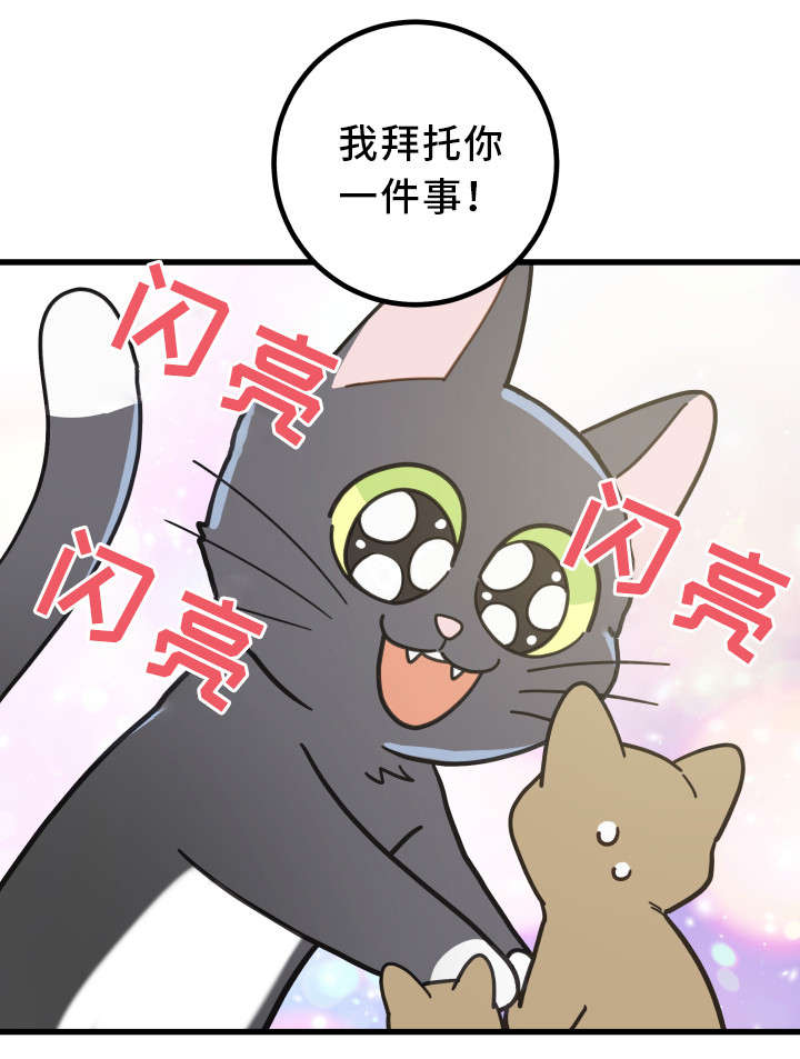 亲爱的维多利亚港小说免费阅读漫画,第32章：晕倒5图