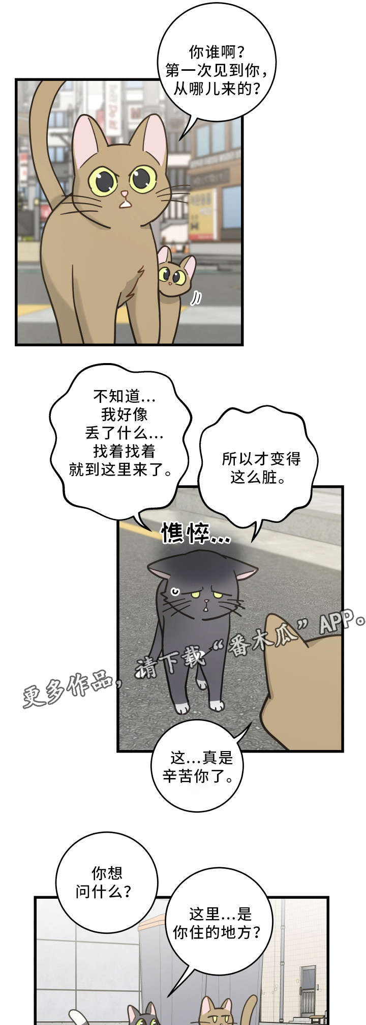 亲爱的维多利亚港小说免费阅读漫画,第32章：晕倒2图
