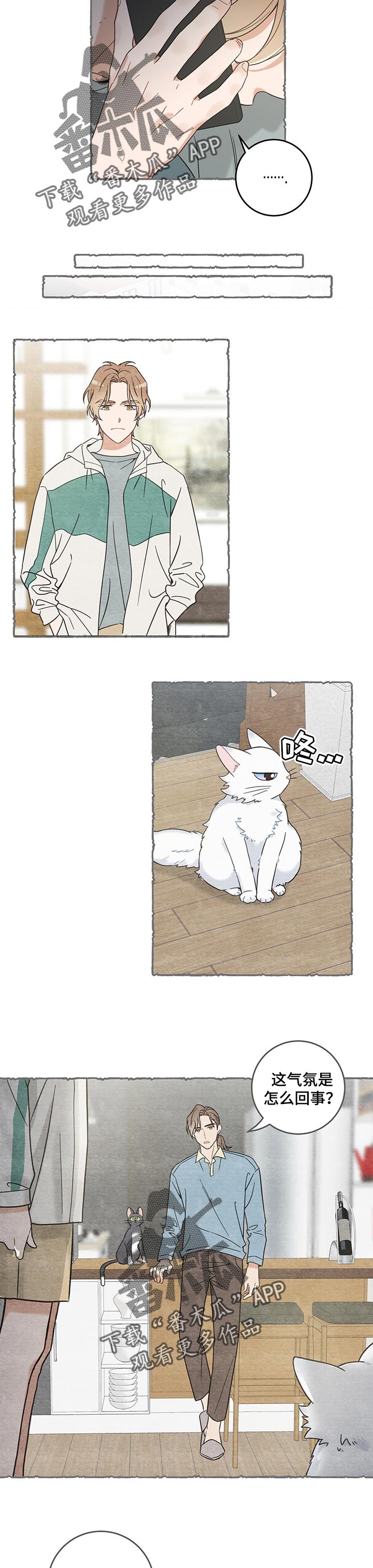 亲爱的丈母娘唐玲丽第一章在线阅读漫画,第99章：撒气5图