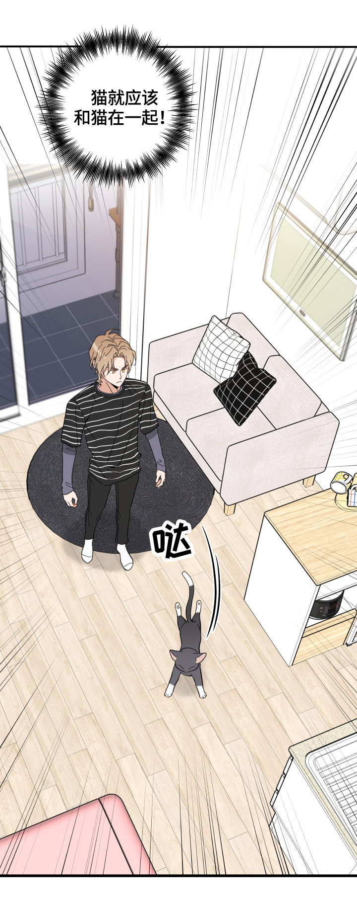 亲爱的公主病电视剧在线观看完整版免费漫画,第60章：悲剧3图