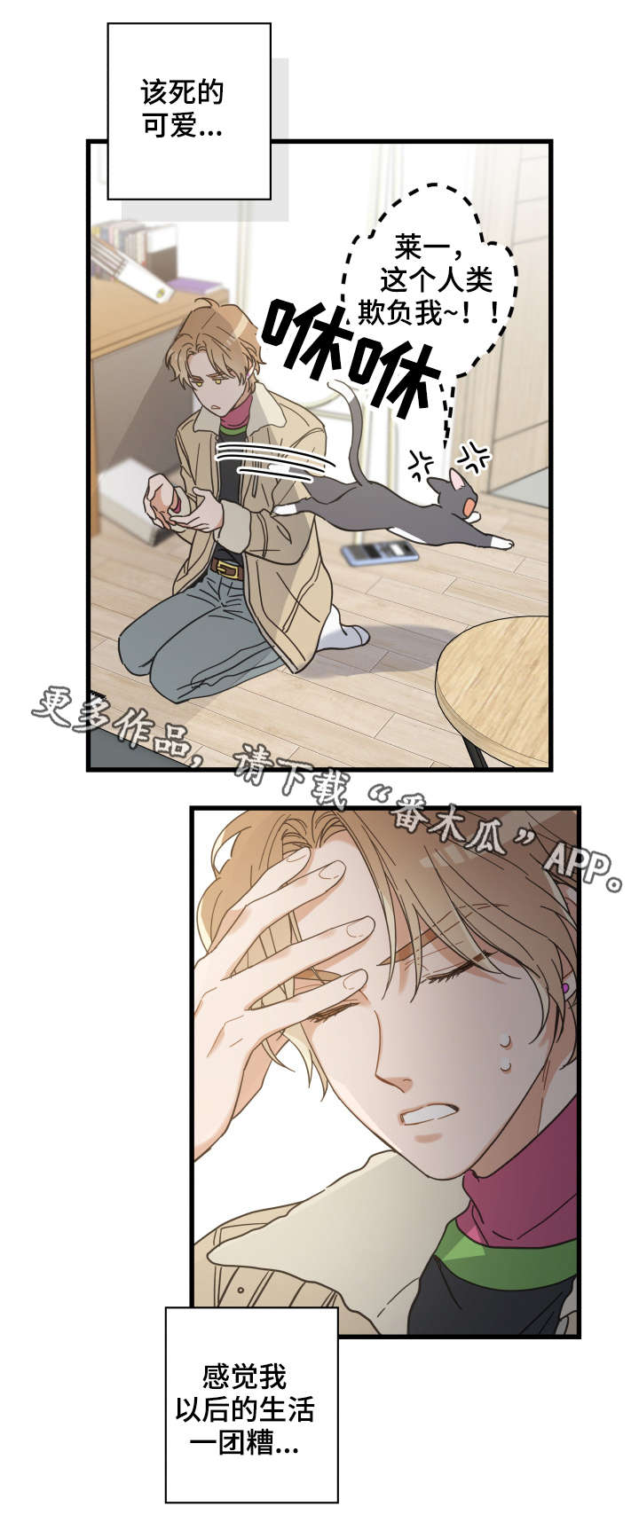 亲爱的热爱的全集免费观看完整版漫画,第42章：臭猫5图