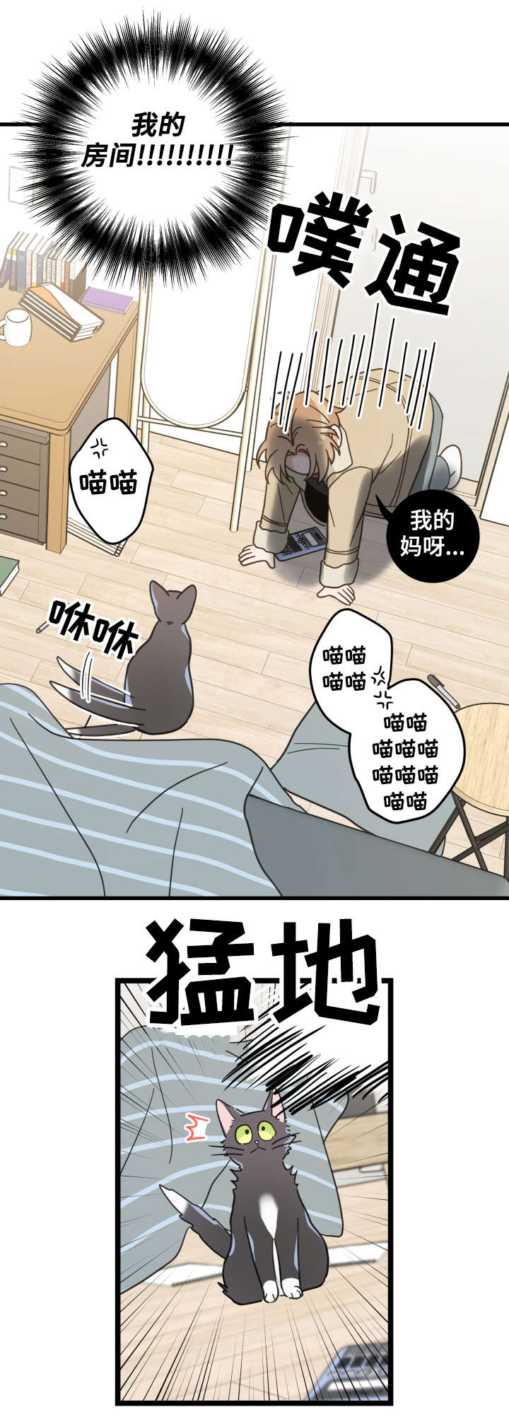 亲爱的热爱的全集免费观看完整版漫画,第42章：臭猫3图