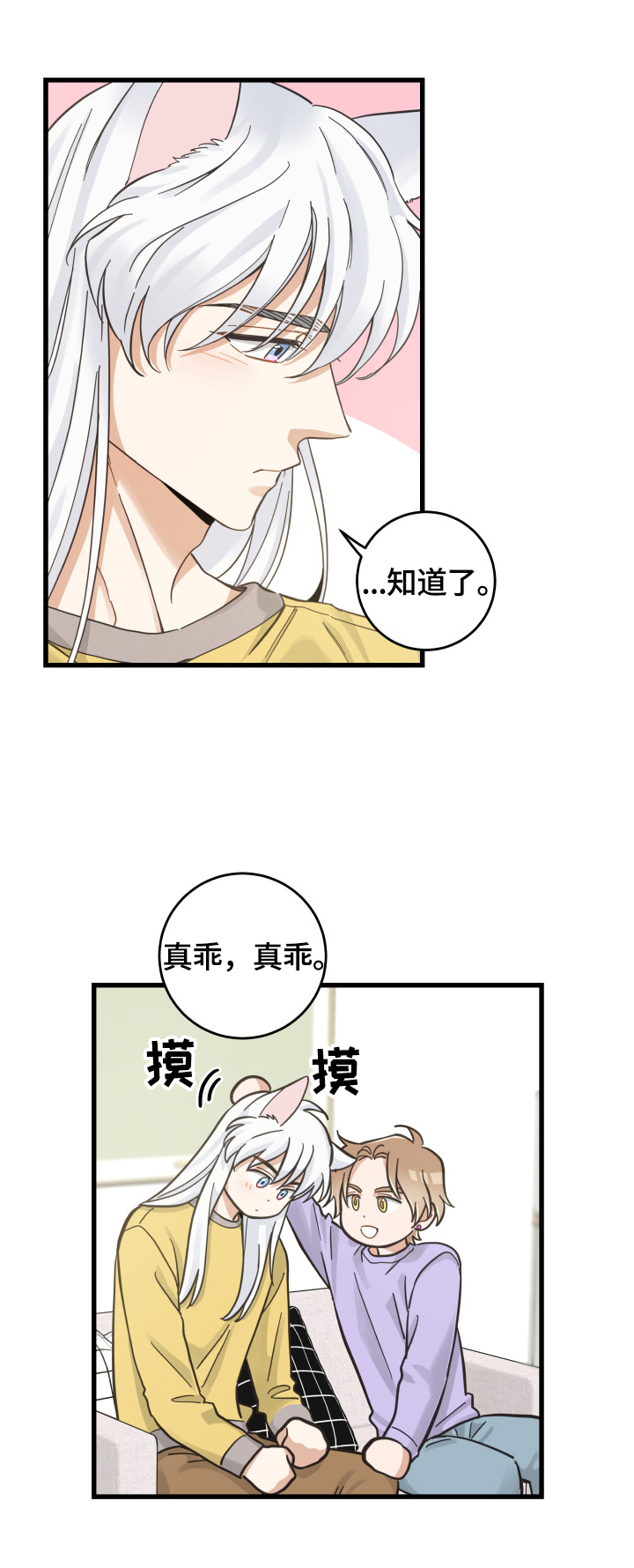 亲爱的漫画,第71章：原谅5图