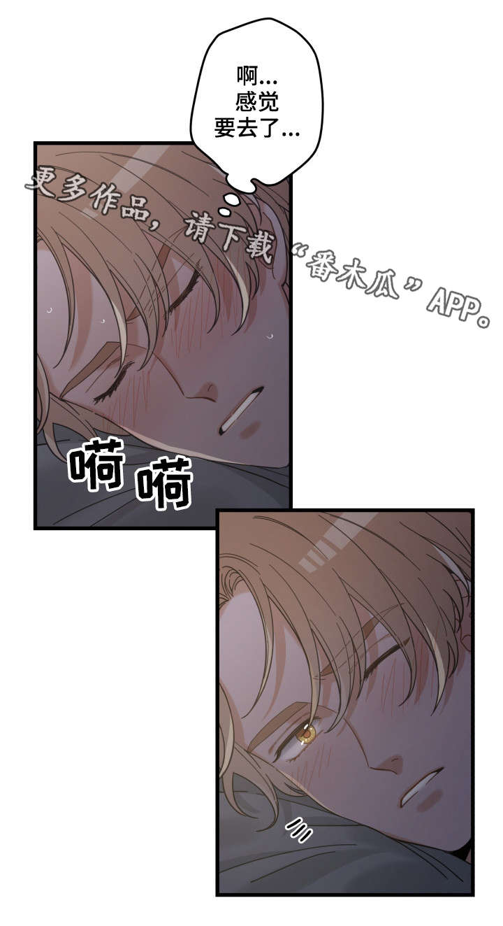 漫画名:亲爱的喵君漫画,第38章：打扰4图