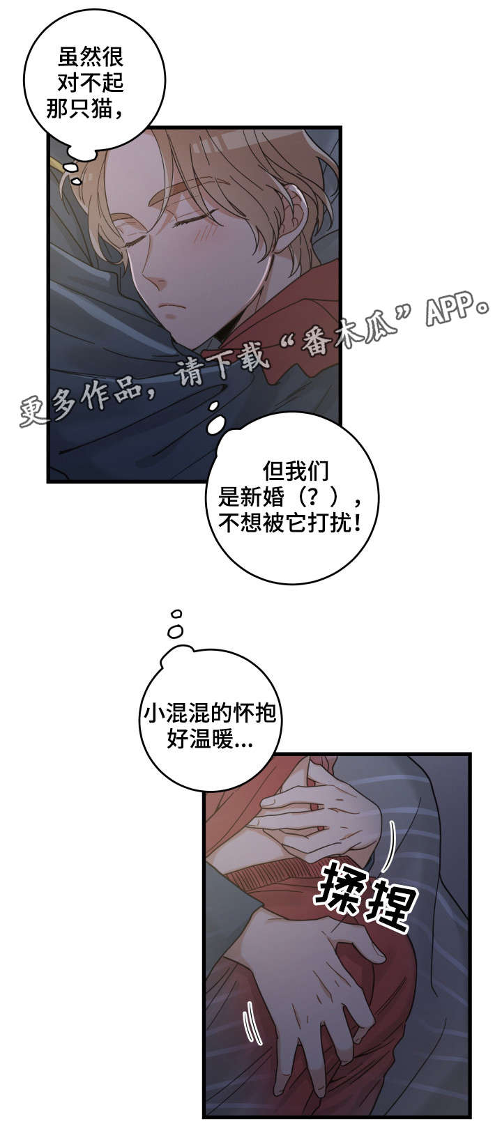 漫画名:亲爱的喵君漫画,第38章：打扰1图